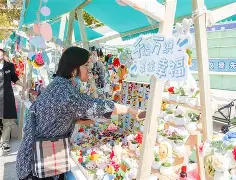 包含社区盾赛后走向成谜，广东宏远内部沟通，更衣室稳定，轮换策略成焦点的词条